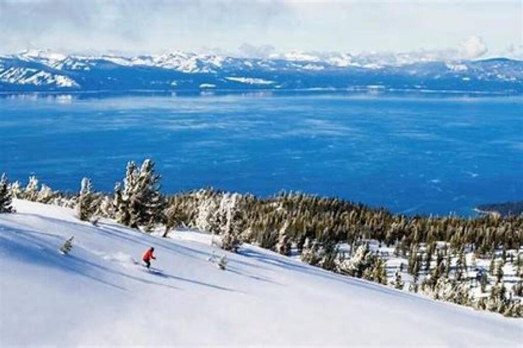 Ski In/Out - Zalanta - Great Location- 2 Hot Tubs - Heated Pool サウス・レイクタホ エクステリア 写真